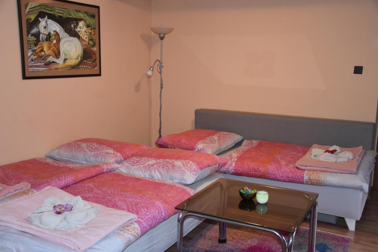 Ferienwohnung Dafinka Banská Bystrica Exterior foto